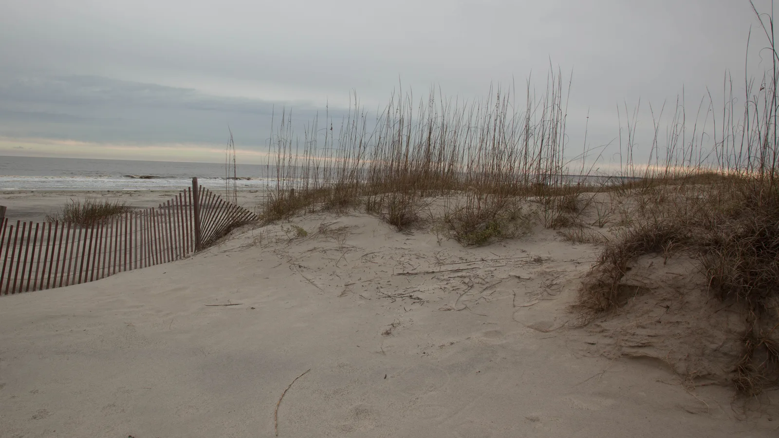 RISE Marks 20 Years by Auctioning Rockaway Artists' Work, With Bids Open Until Saturday Noon