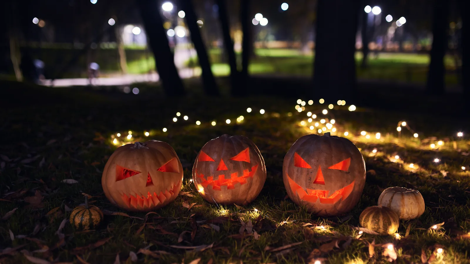 Ghost Hunting at Snug Harbor and a Costume Hike for Dogs: Halloween Week in Staten Island's Parks