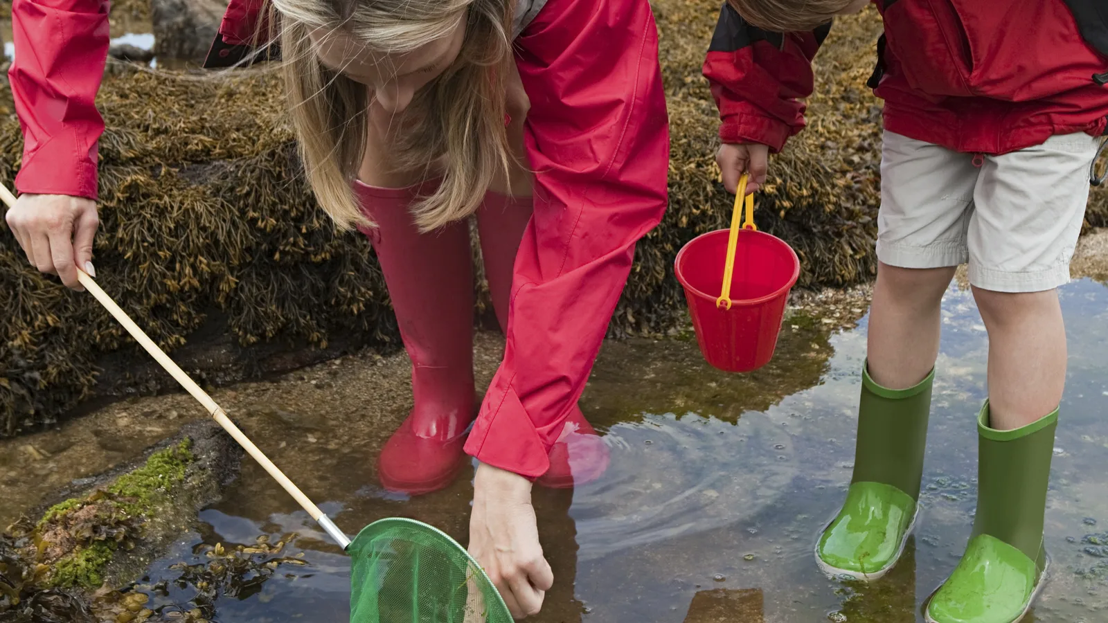 Urban Park Rangers Take a Night Seining Walk Into the East River at Fort Totten