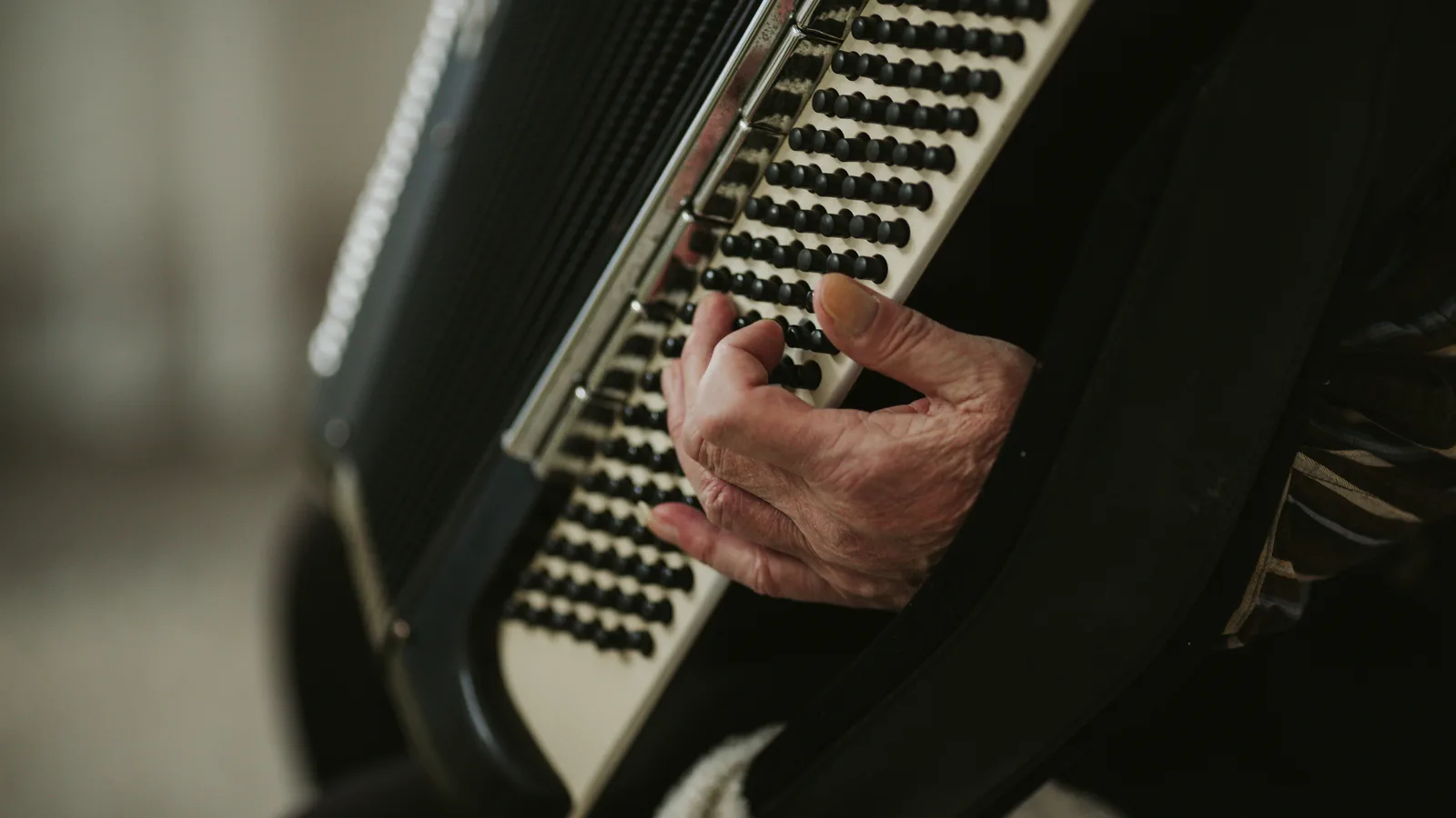 A Croatian-Born Accordionist Plays the Castle at Bayside's Ballroom on Nov. 15