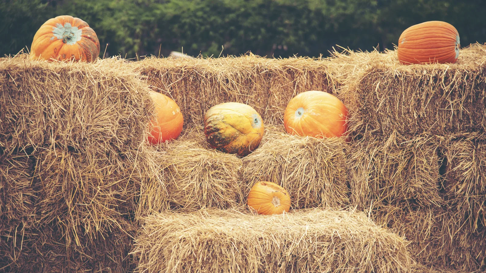 Brooklyn Botanic Garden's Fall Harvest Festival Is Saturday: Cider Garden, Costume Parade and Harvest Dances