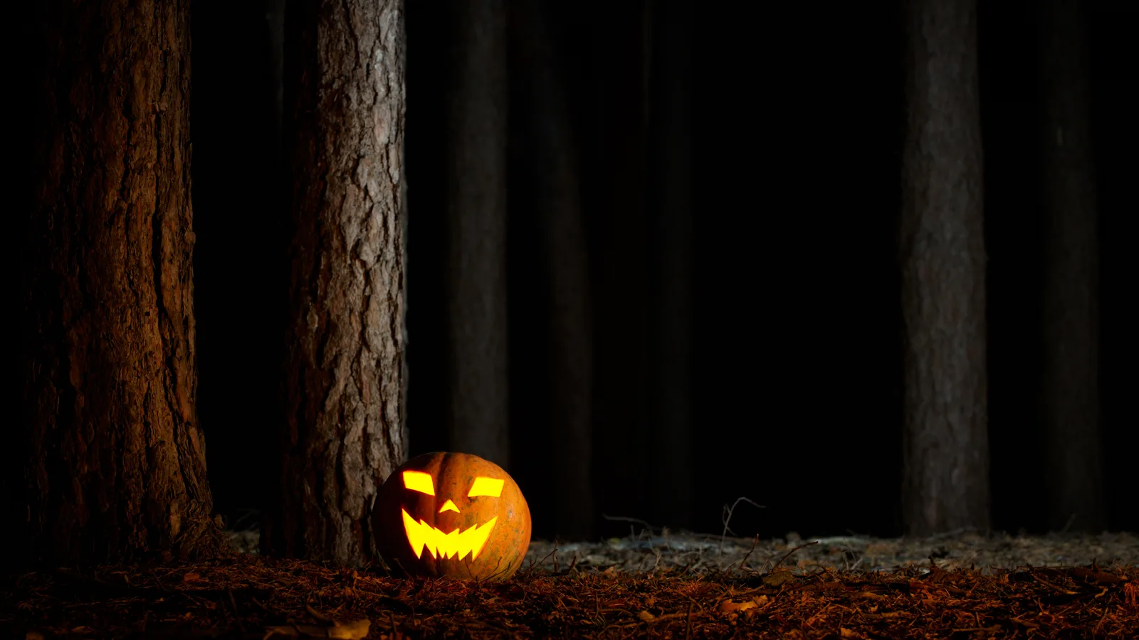 A Haunted Trail Runs Along the Ridgewood Reservoir on Oct. 30