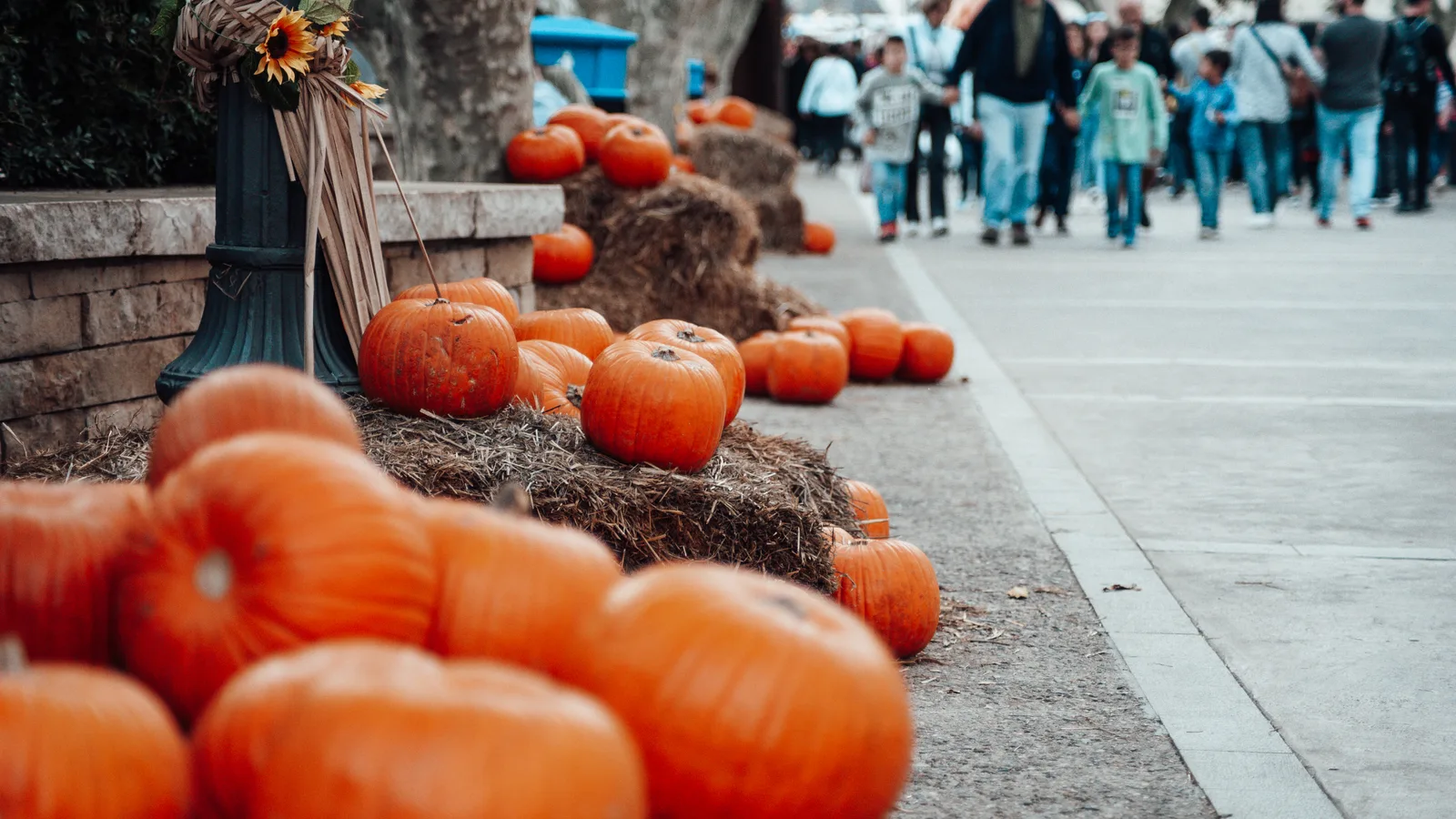 Halloween Fest, a Park Movie and a Shore Road 5K: This Week in Bay Ridge
