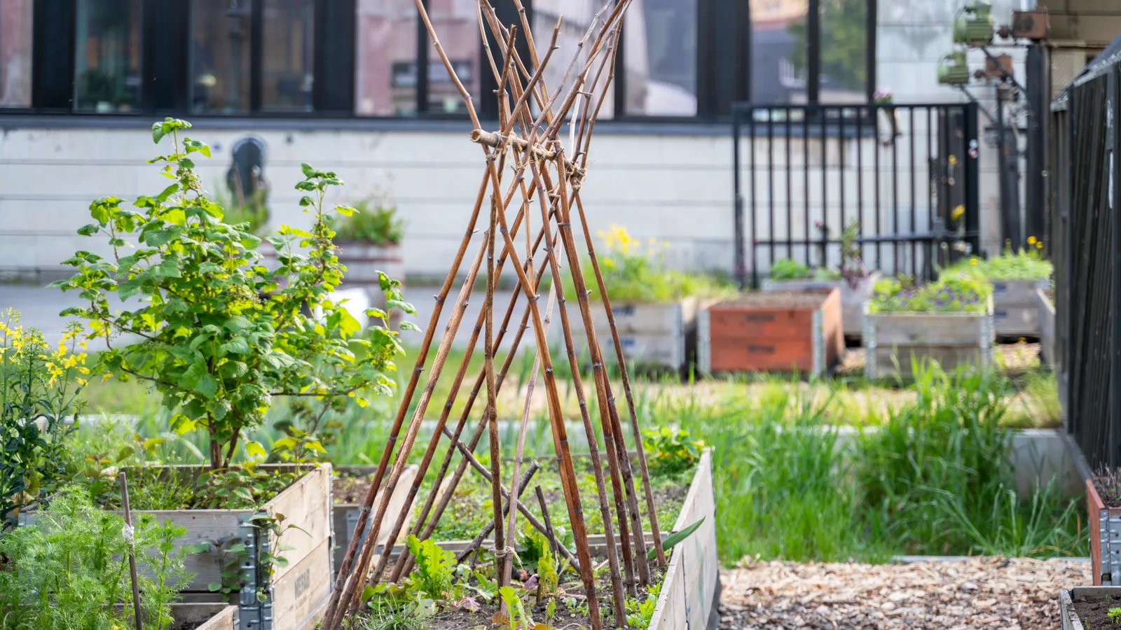 La Plaza Cultural, the Avenue C Garden Buckminster Fuller Helped Build, Turns 50 With a Party Saturday