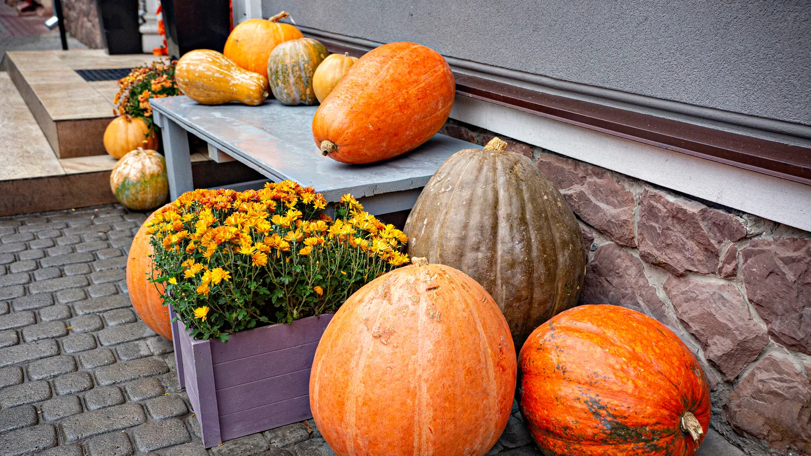 Forest Hills Gets a Car-Free Austin Street on Sunday and a Metropolitan Avenue Parade on Halloween
