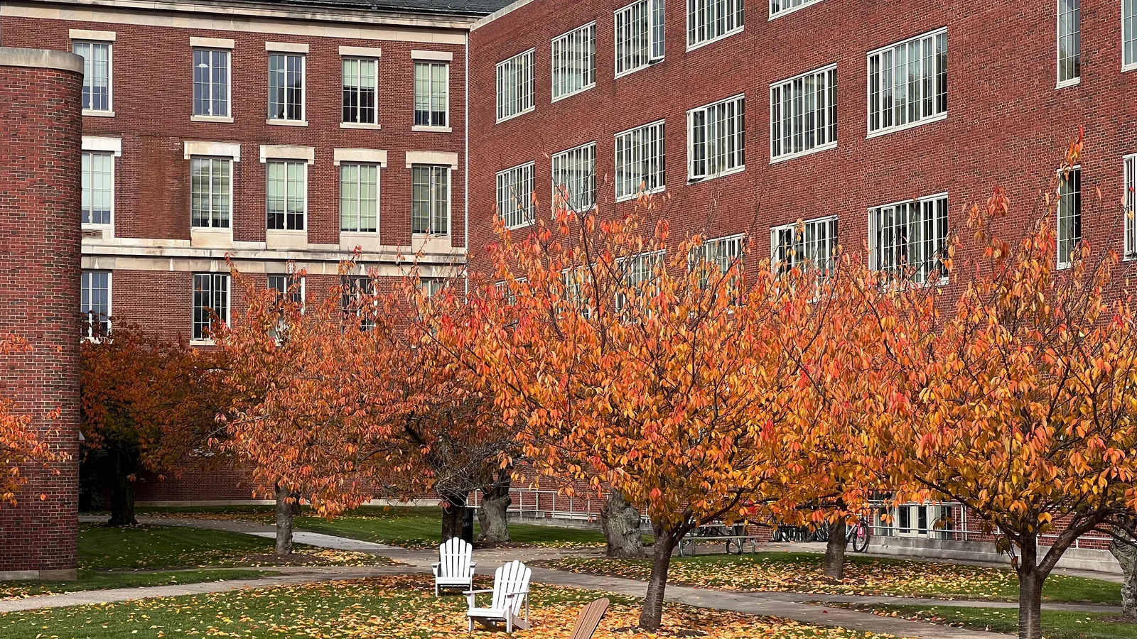 Brooklyn College Reopens Its East Quad Under 18 New Elms, and Starts the Road to 2030