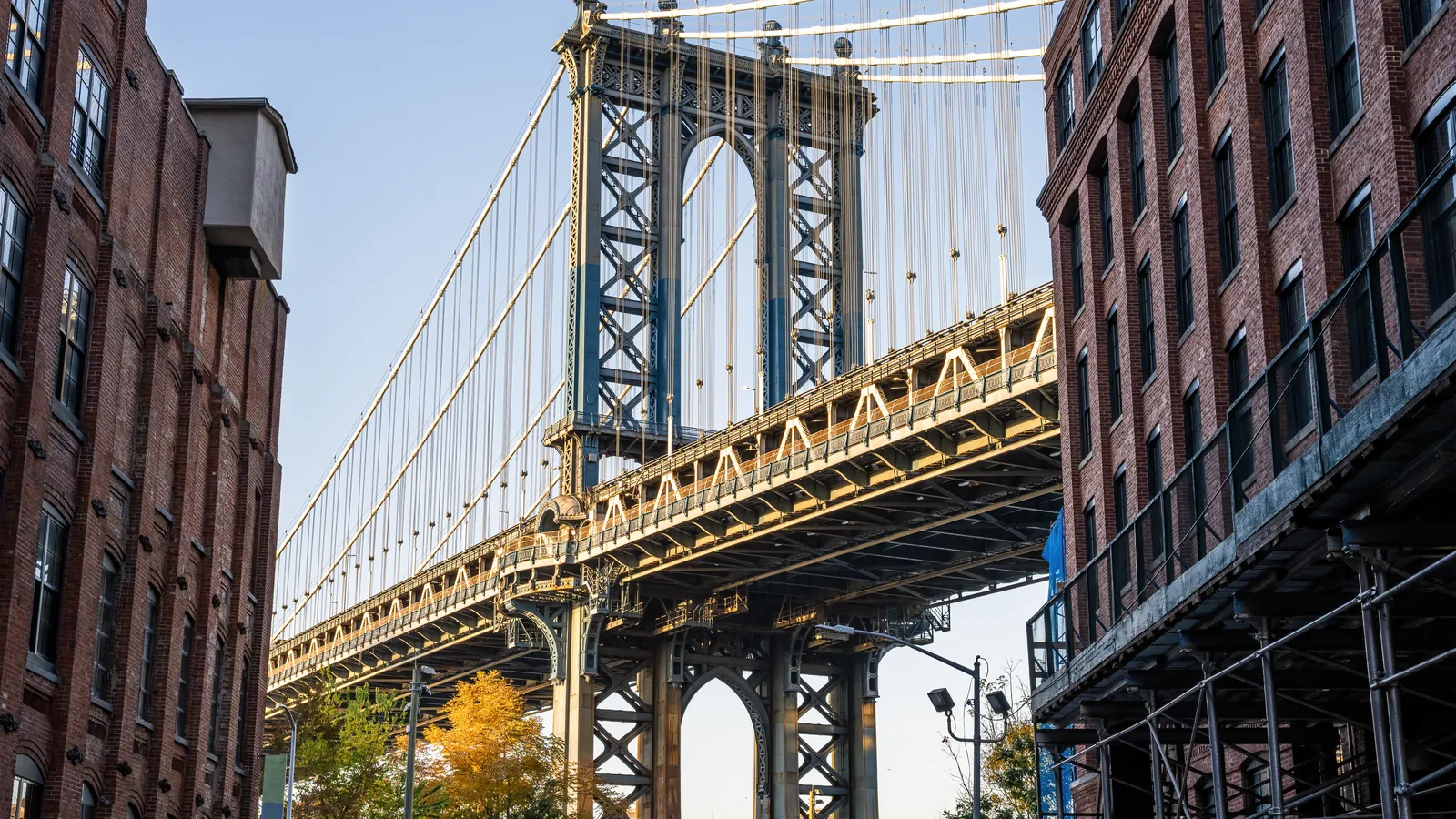 Objects Buried Under DUMBO’s Streets Since the 1800s Go on Display at the Adams Street Library Nov. 5