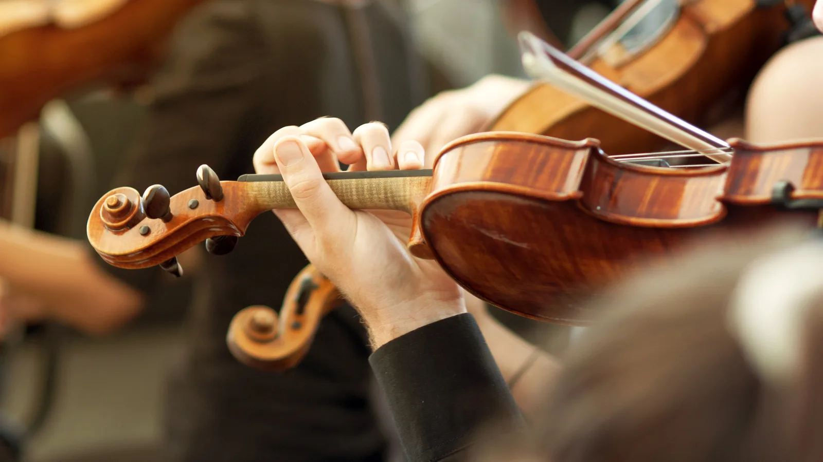 Rachmaninoff and Ravel Open the Brooklyn Symphony Orchestra's Season at the Brooklyn Museum on Sunday