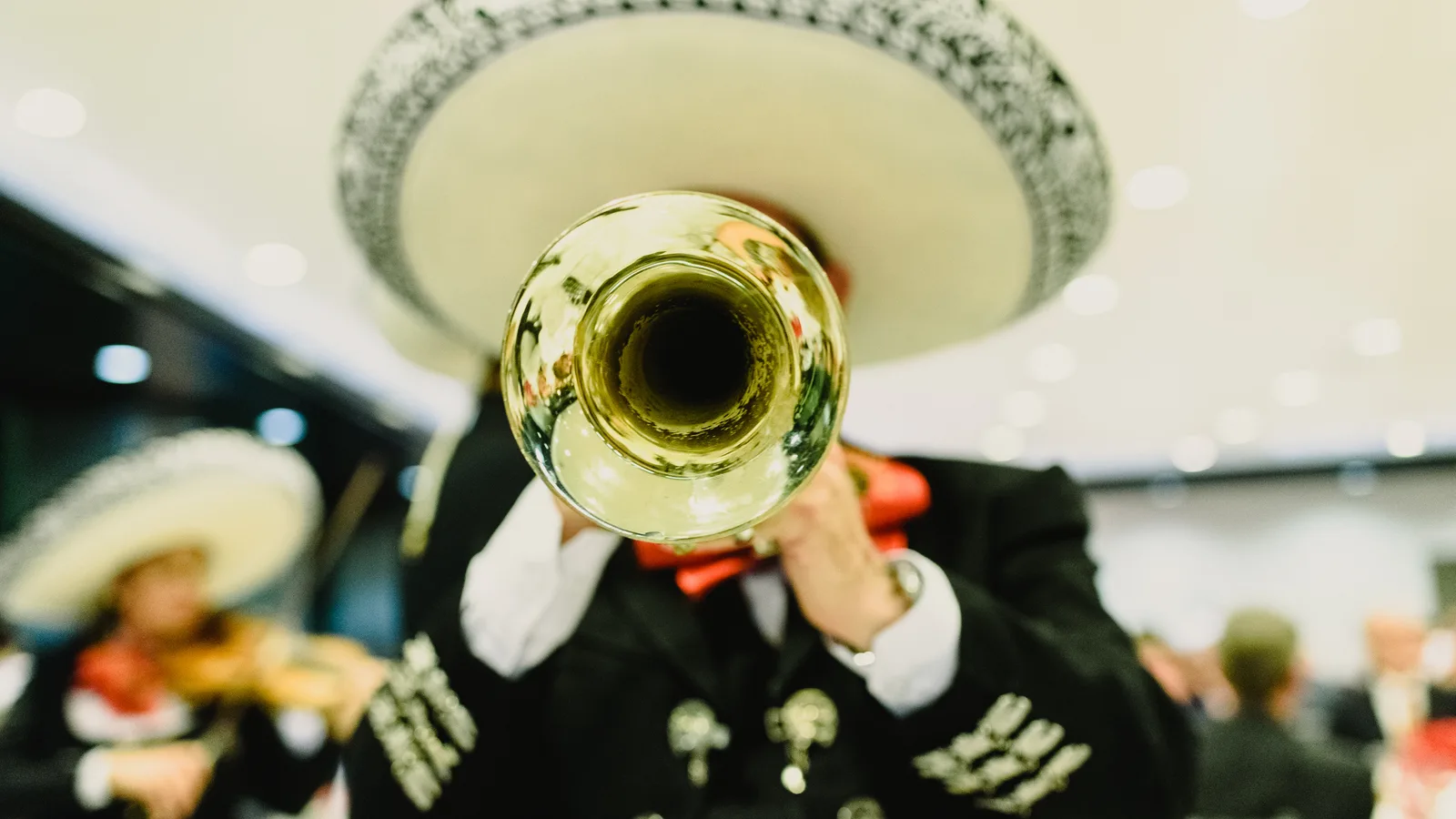 Mariachi Real de Mexico Turns 35 With a Free Day of the Dead Concert in Forest Park